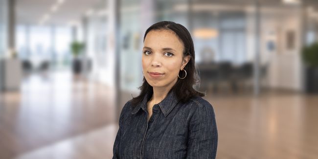 Protecting the Client's Vision